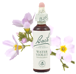 Water Violet (20ml) - Pride and aloofness